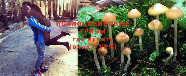 трава Алзамай