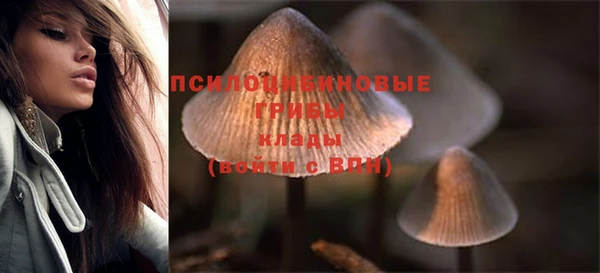 трава Алзамай