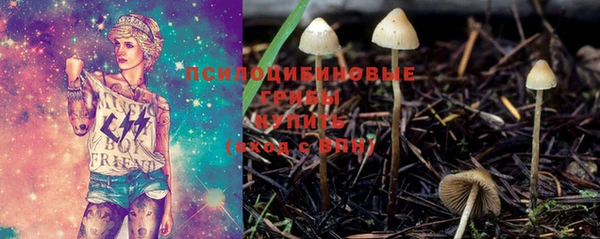 трава Алзамай