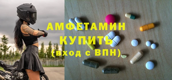 молекула духа Алексеевка