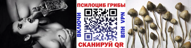 Псилоцибиновые грибы MAGIC MUSHROOMS  kraken tor  Туймазы  закладка 